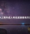 2024上海市成人考试成绩查询方法是什么