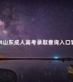 2024山东成人高考录取查询入口官网