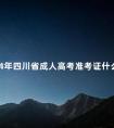 2024年四川省成人高考准考证什么时候打印