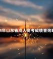 2024年山东省成人高考成绩查询时间多久公布