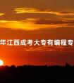 2024年江西成考大专有编程专业吗