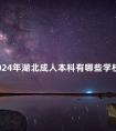 2024年湖北成人本科有哪些学校