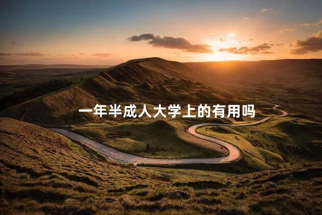 一年半成人大学上的有用吗