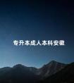 专升本成人本科安徽