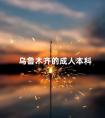 乌鲁木齐的成人本科