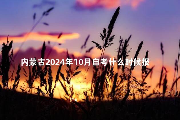 内蒙古2024年10月自考什么时候报名