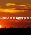 四川成人大学有哪些专业名单