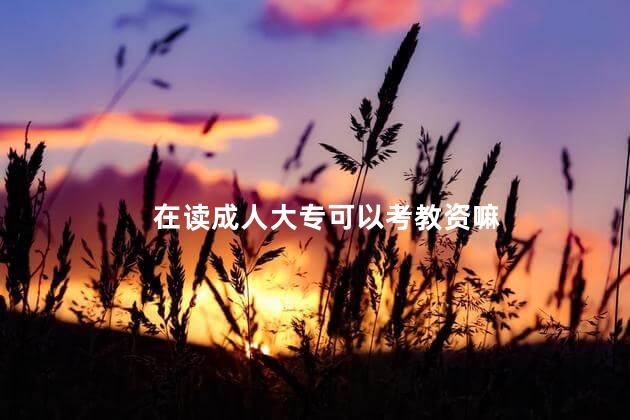 在读成人大专可以考教资嘛