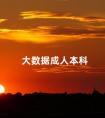 大数据成人本科