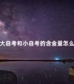 大自考和小自考的含金量怎么样