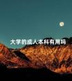 大学的成人本科有用吗