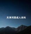 天津河西成人本科