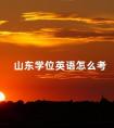 山东学位英语怎么考