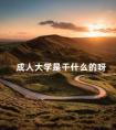 成人大学是干什么的呀