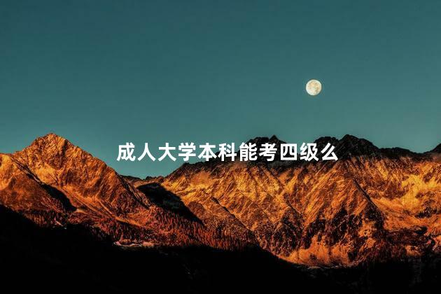 成人大学本科能考四级么