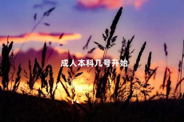 成人本科几号开始