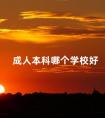 成人本科哪个学校好