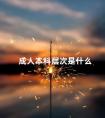 成人本科层次是什么
