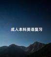 成人本科英语复习
