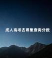 成人高考去哪里查询分数