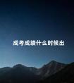 成考成绩什么时候出