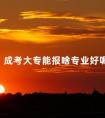 成考大专能报啥专业好呢