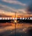 新加坡留学费用一年多少人民币