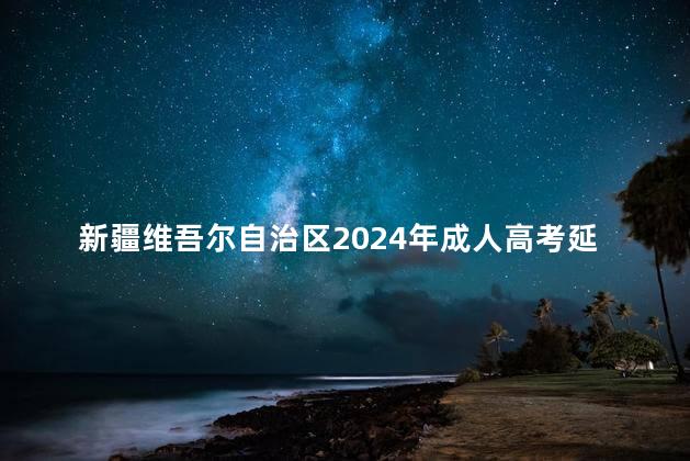 新疆维吾尔自治区2024年成人高考延期考试时间公告