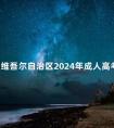 新疆维吾尔自治区2024年成人高考延期考试时间公告