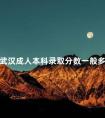 武汉成人本科录取分数一般多少