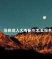 沧州成人大专招生怎么报名