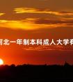 河北一年制本科成人大学有吗