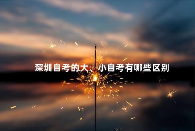 深圳自考的大、小自考有哪些区别