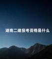 湖南二建报考资格是什么