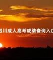 2024四川成人高考成绩查询入口在哪