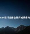 2024四川注册会计师成绩查询