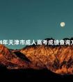2024年天津市成人高考成绩查询方法