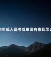 2024年成人高考成绩没有查到怎么办