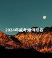 2024年成考如何报名