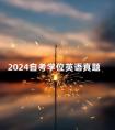 2024自考学位英语真题
