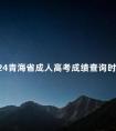 2024青海省成人高考成绩查询时间