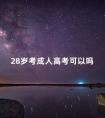 28岁考成人高考可以吗