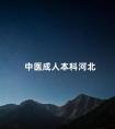 中医成人本科河北
