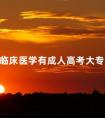 临床医学有成人高考大专么