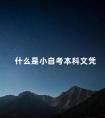 什么是小自考本科文凭
