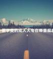 医学类的成人大专在哪里报名