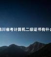 四川省考计算机二级证书有什么用