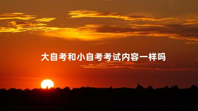 大自考和小自考考试内容一样吗