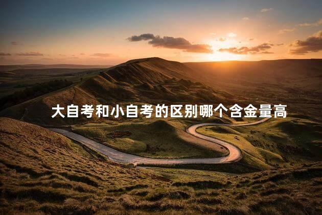 大自考和小自考的区别哪个含金量高