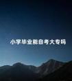 小学毕业能自考大专吗